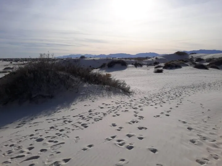 parque nacional de white sands