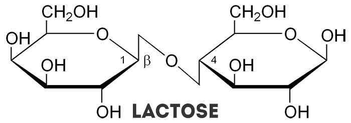 FoodLab: Lactose