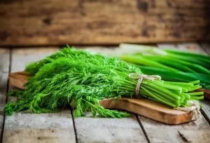 Dill: what it is for and how to prepare tea