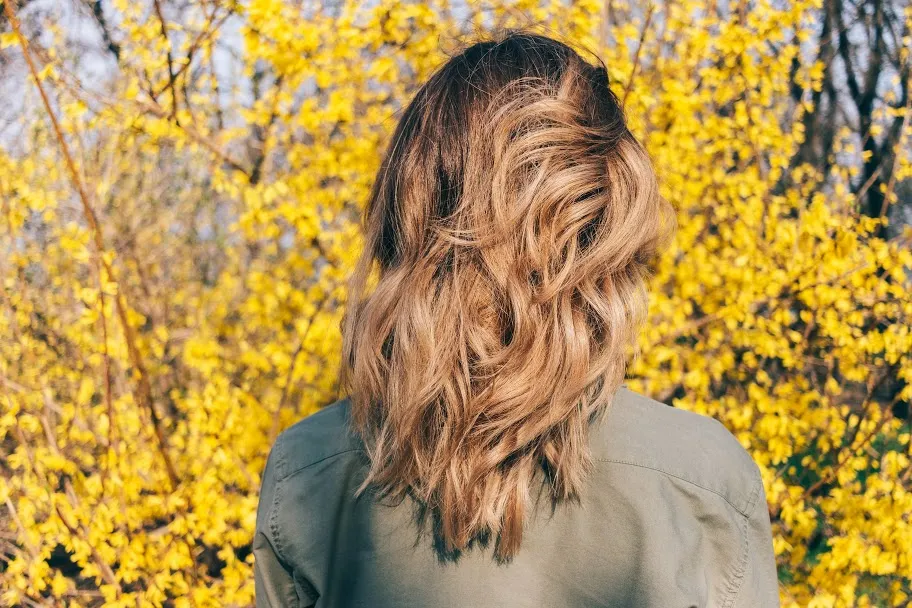 Hair cut, women's, spring 2019