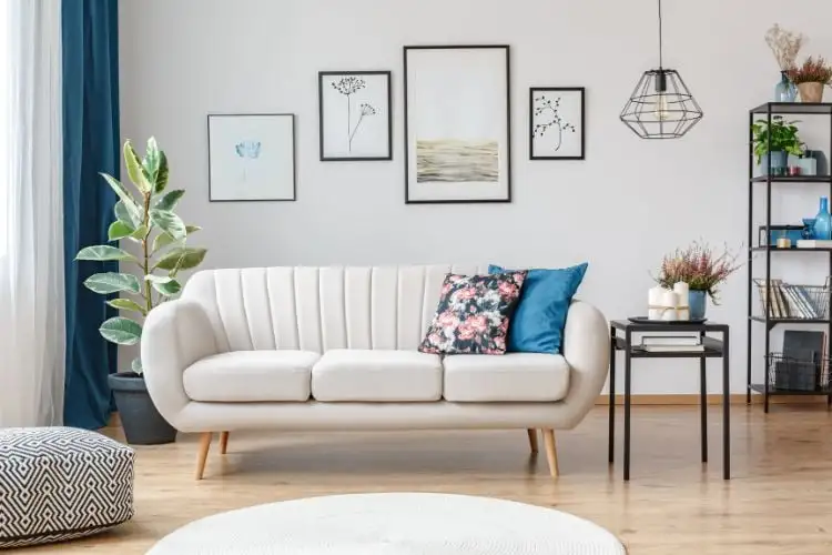 Living room with a sofa, off-white, round, cushion floral, frame, cute, rug, white, round, plant