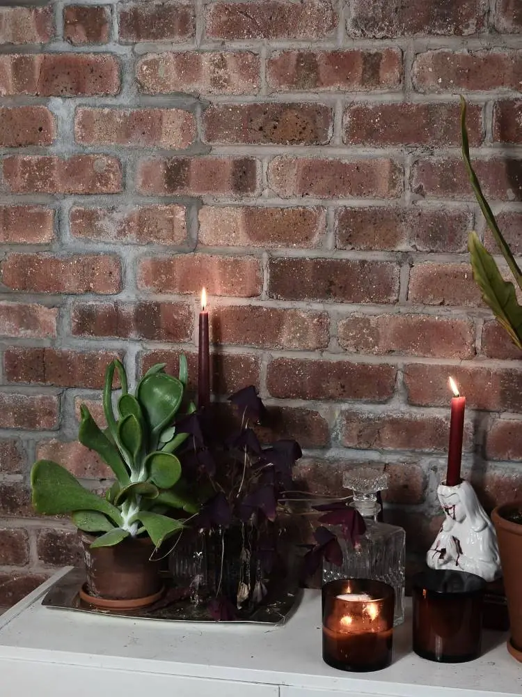 Suculenta em mesa com velas e fundo de tijolos à vista. 