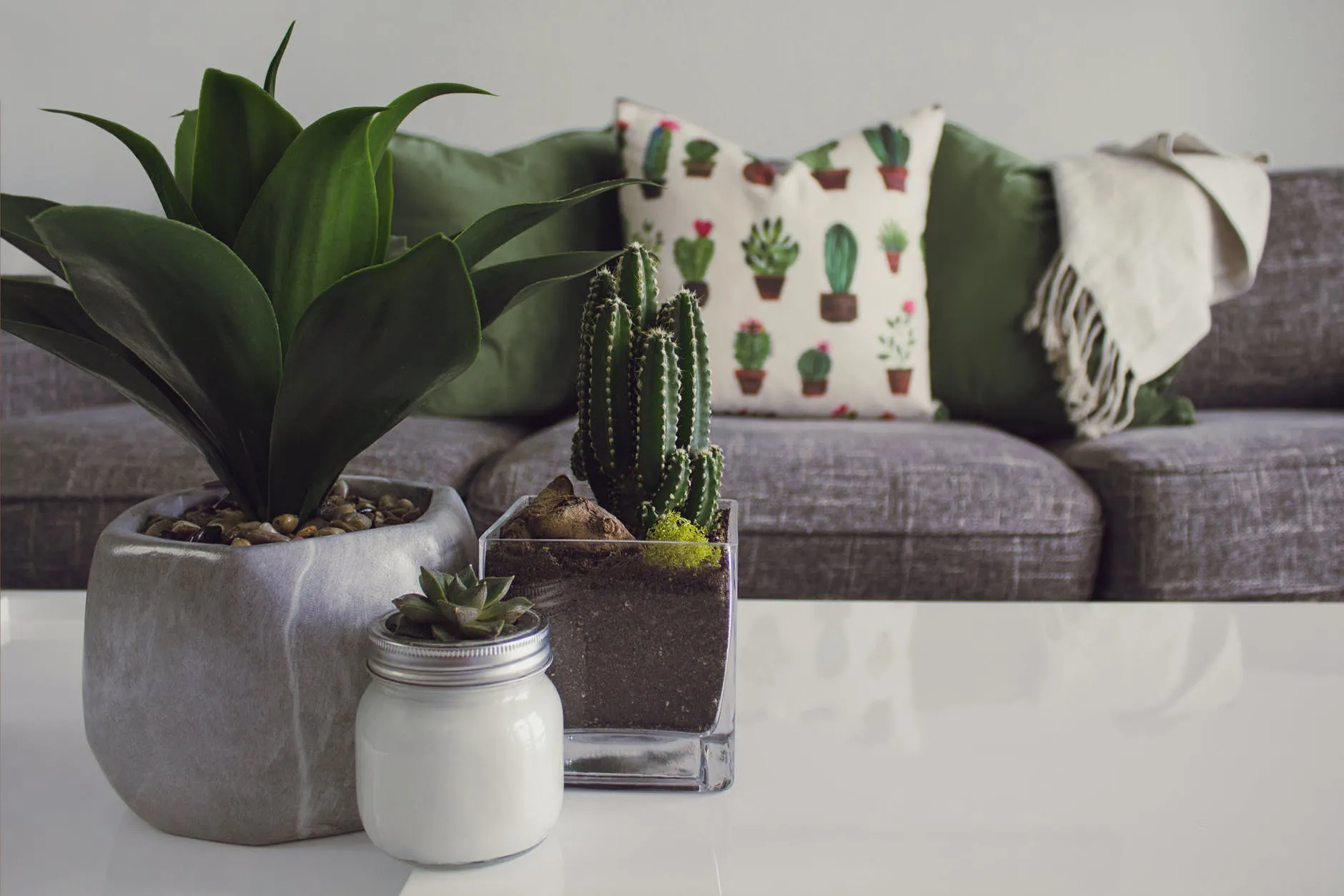 Sala de sofá cinza, com almofadas verdes e uma delas com desenho de cactos. Na mesa de centro, há três vasos de plantas, dentre eles cactos e suculentas. 