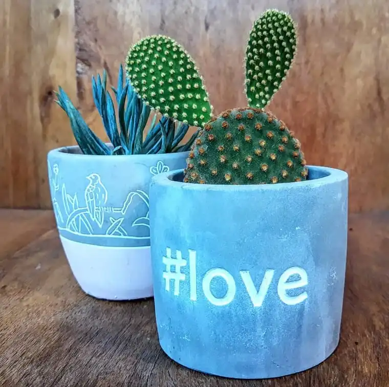 Dois vasos azuis, um com desenhos  de pássaros e outro escrito "#LOVE" com cactos e suculentas. 