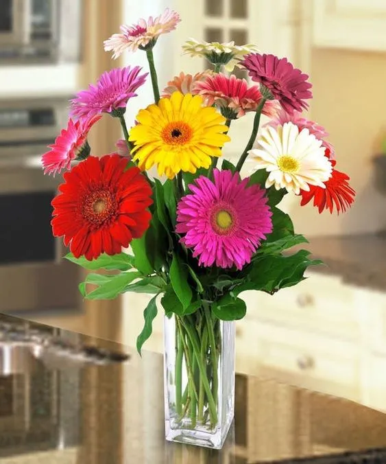 Colorful arrangement with flowers for indoors.