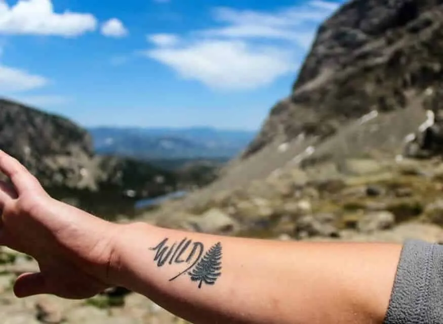 Tattoo, travel up to 100 images to inspire you in the design