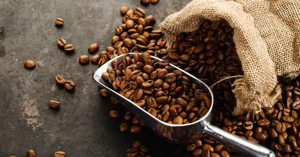 Coffee shampoo: what it is, what it is for and how to use it