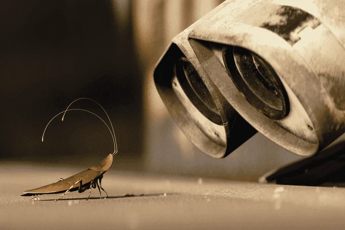 Sognare uno scarafaggio: principali significati e interpretazioni