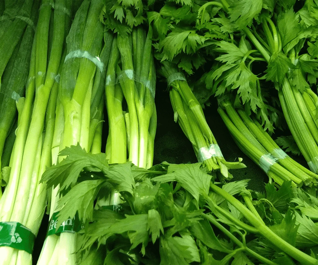 Celery - learn about the properties and benefits of this root