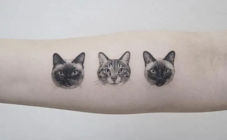 Tattoo-cats - over 70 of options for you to be inspired by, and is the