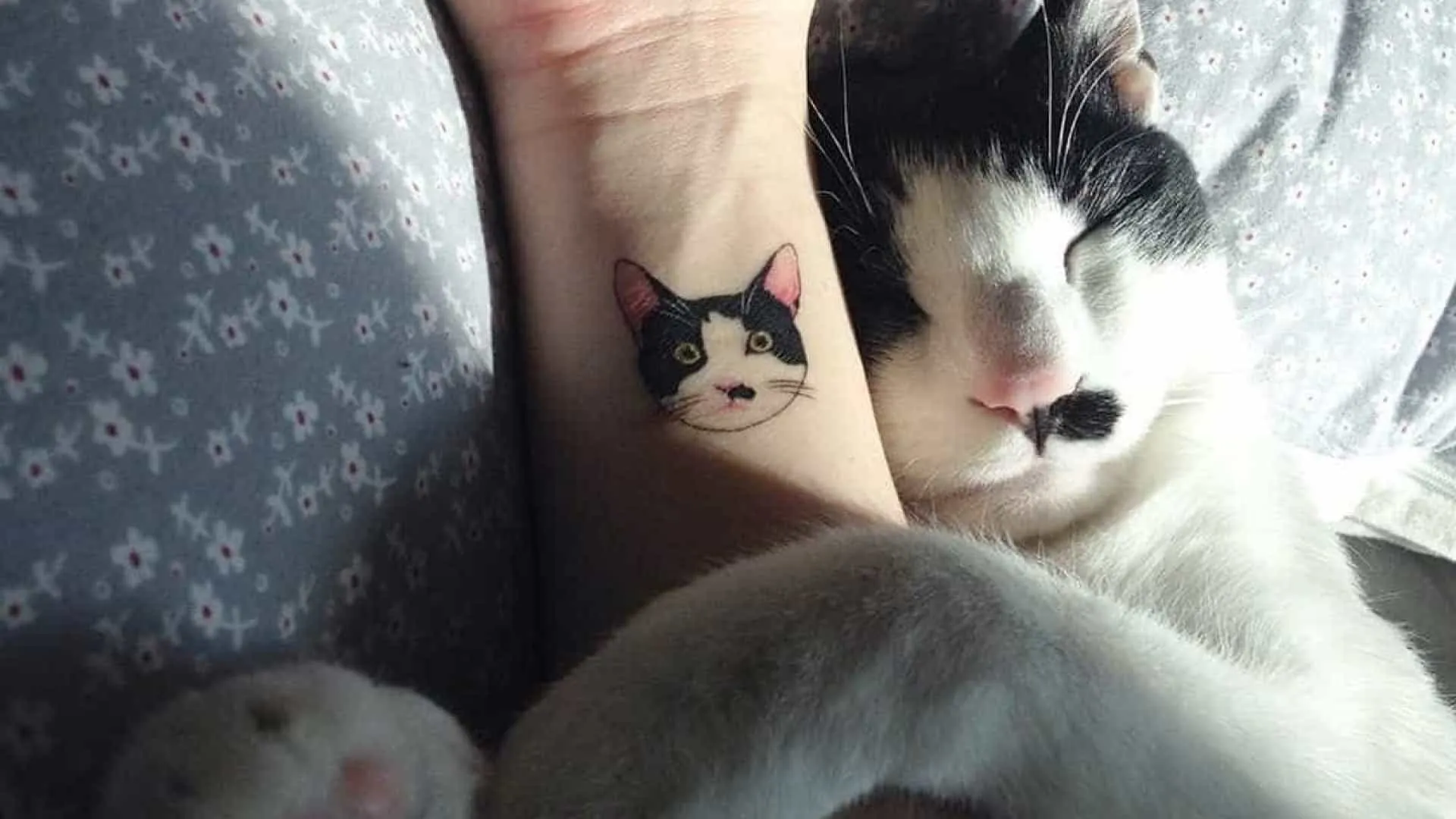 Tattoo-cats - over 70 of options for you to be inspired by, and is the