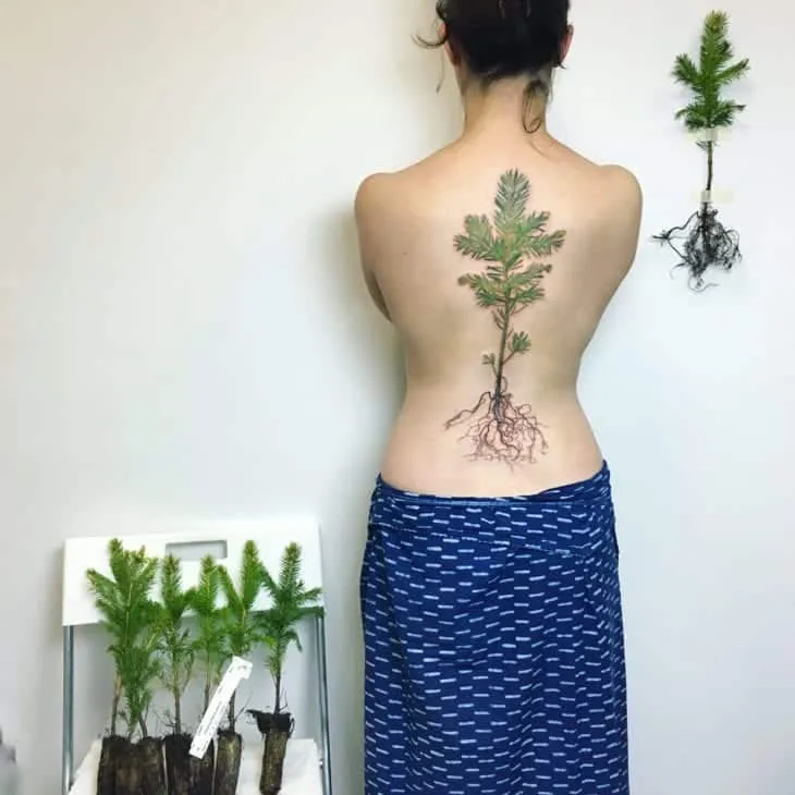 More than 60 tips from a tattoo on the back for you to get inspired