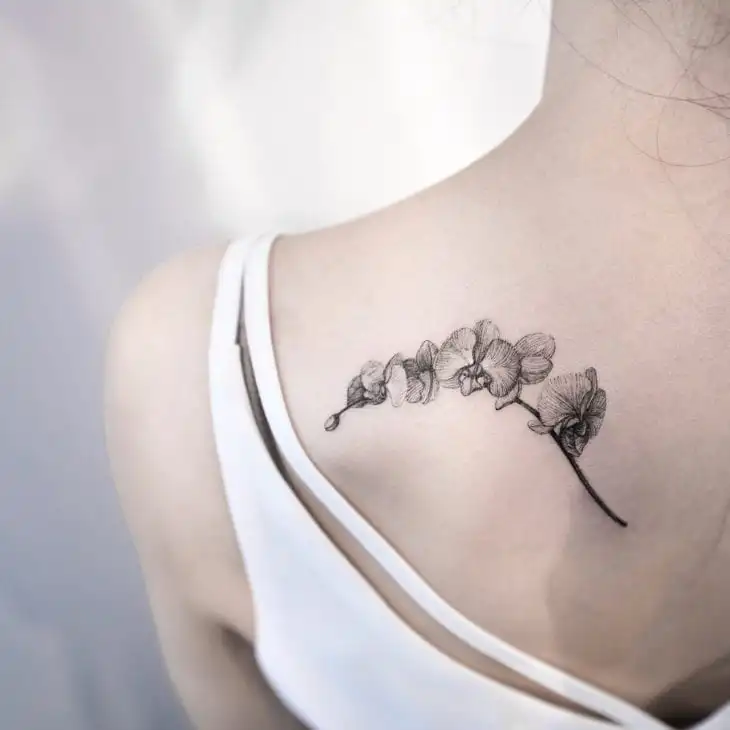 More than 60 tips from a tattoo on the back for you to get inspired