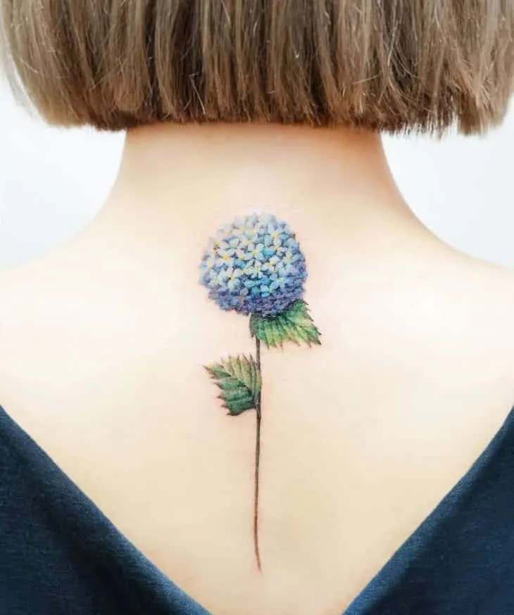 More than 60 tips from a tattoo on the back for you to get inspired