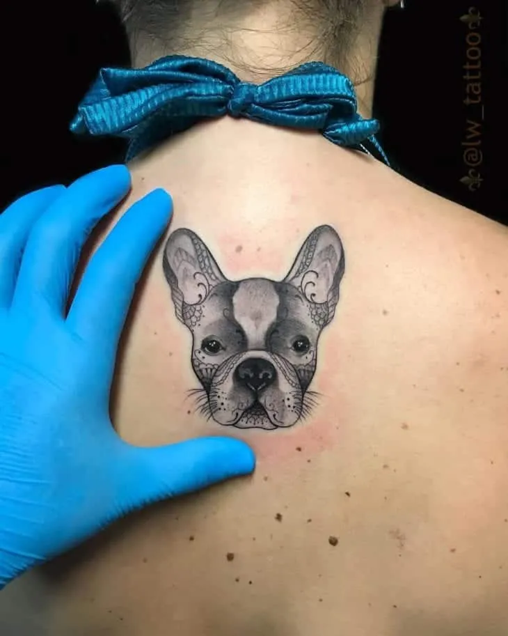 More than 60 tips from a tattoo on the back for you to get inspired