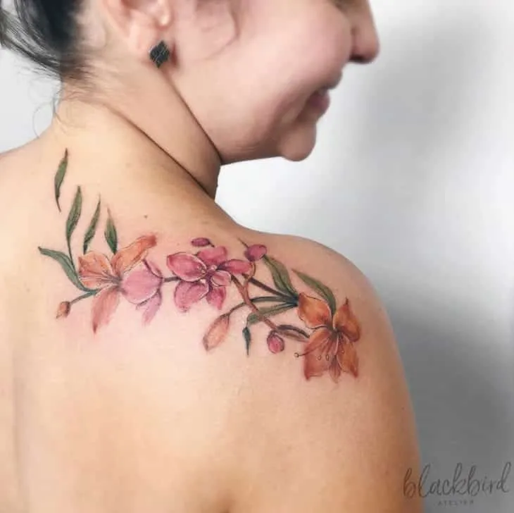 More than 60 tips from a tattoo on the back for you to get inspired