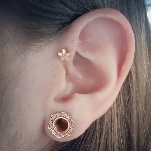 Ear piercing, curiosities + 51 images of inspiration