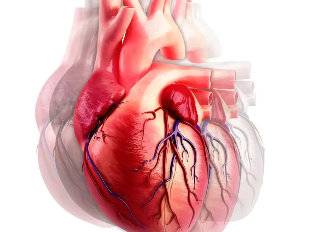 What are the symptoms of a heart attack in a woman