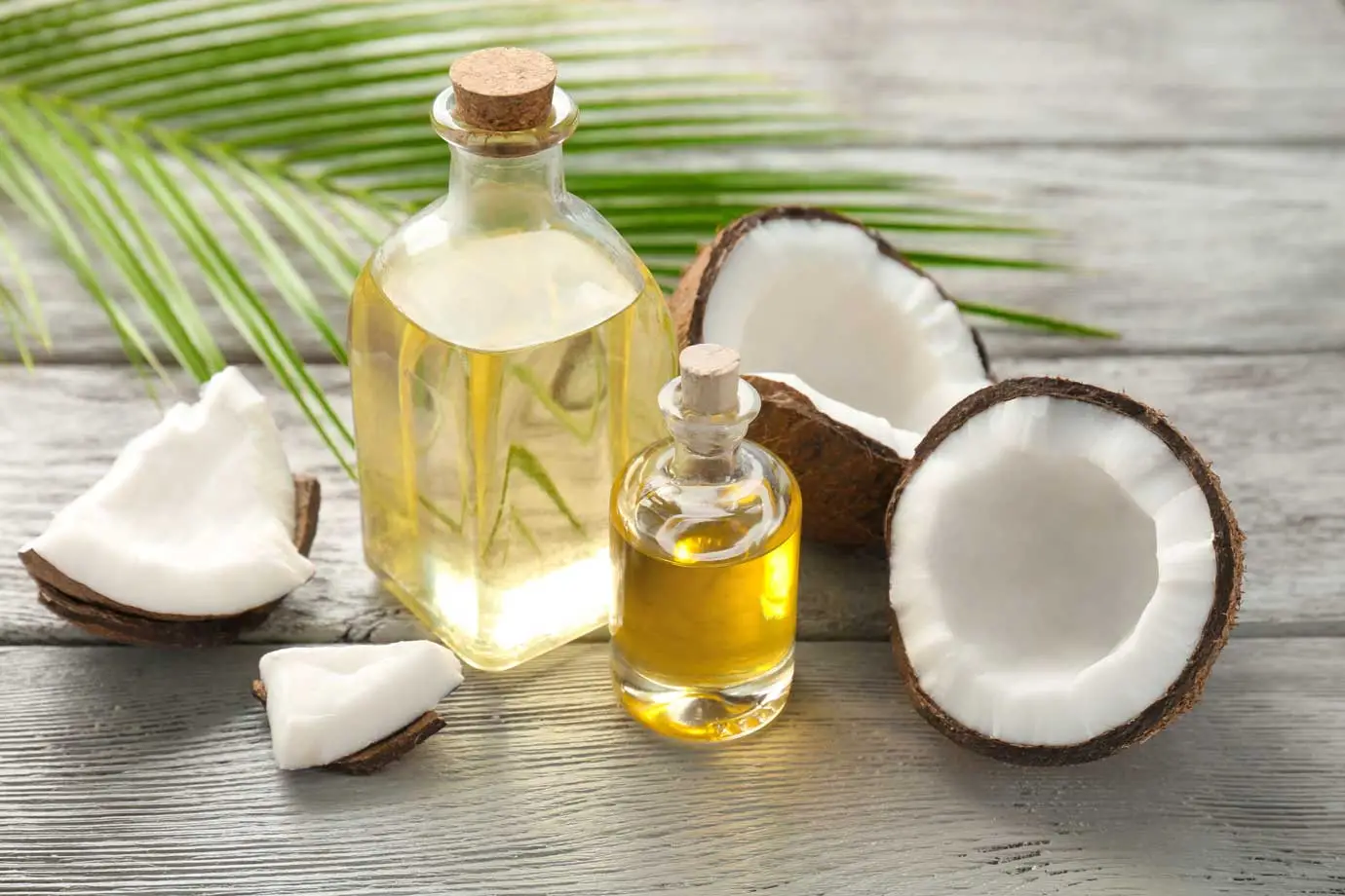 Coconut oil on hair, how to use the product on your hair